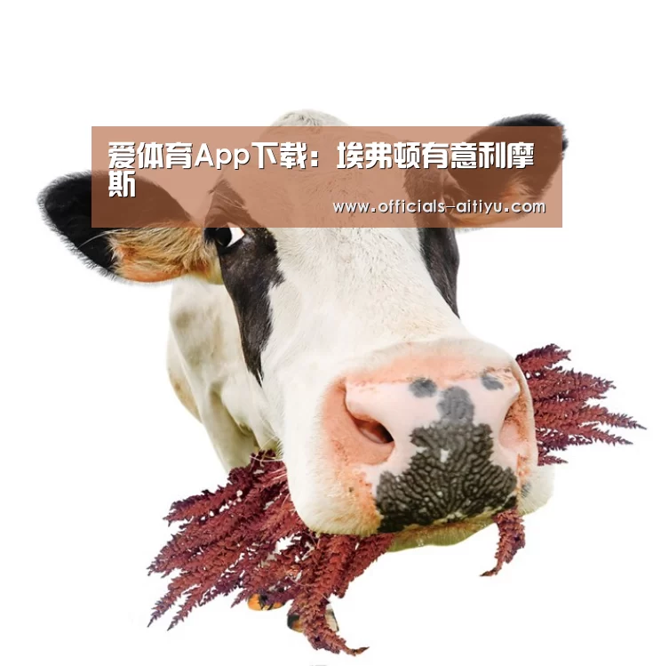 爱体育App下载:埃弗顿有意利摩斯(图1) 爱体育App下载