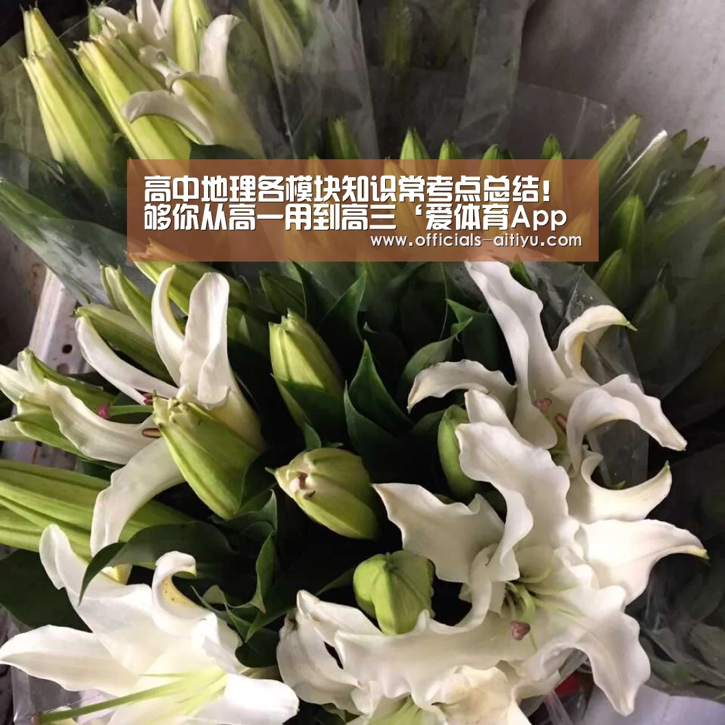 高中地理各模块知识常考点总结!够你从高一用到高三‘爱体育App下载’(图1) 爱体育App下载