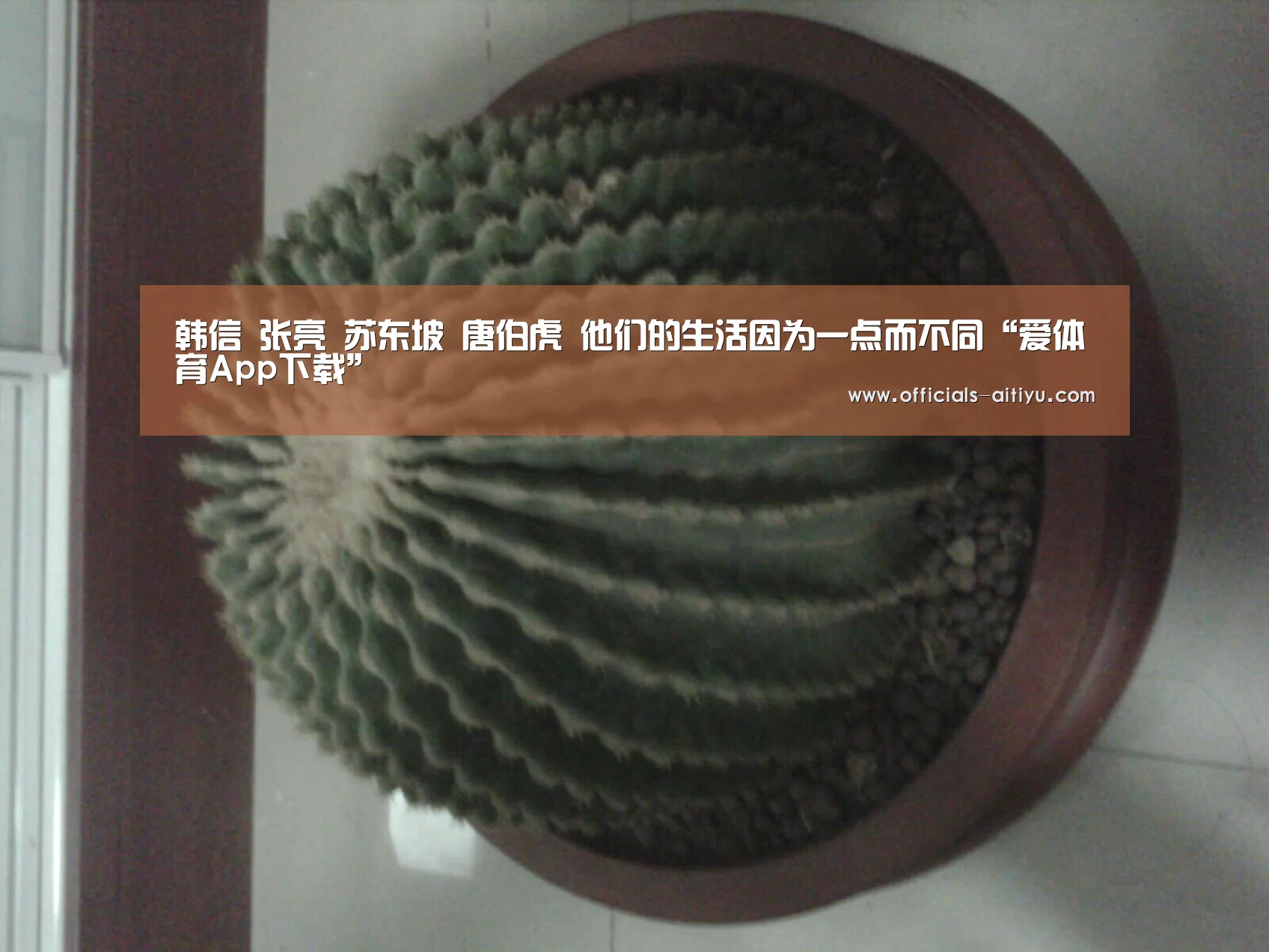 韩信 张亮 苏东坡 唐伯虎 他们的生活因为一点而不同“爱体育App下载”(图4) 爱体育App下载
